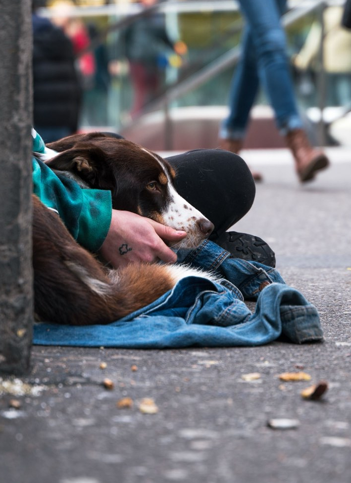 Obdachlosenhilfe für Stuttgart